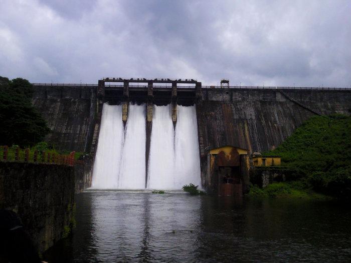 Chimmini Dam- A Tranquil Retreat In Kerala Chimmini Dam- A Tranquil Retreat In Kerala