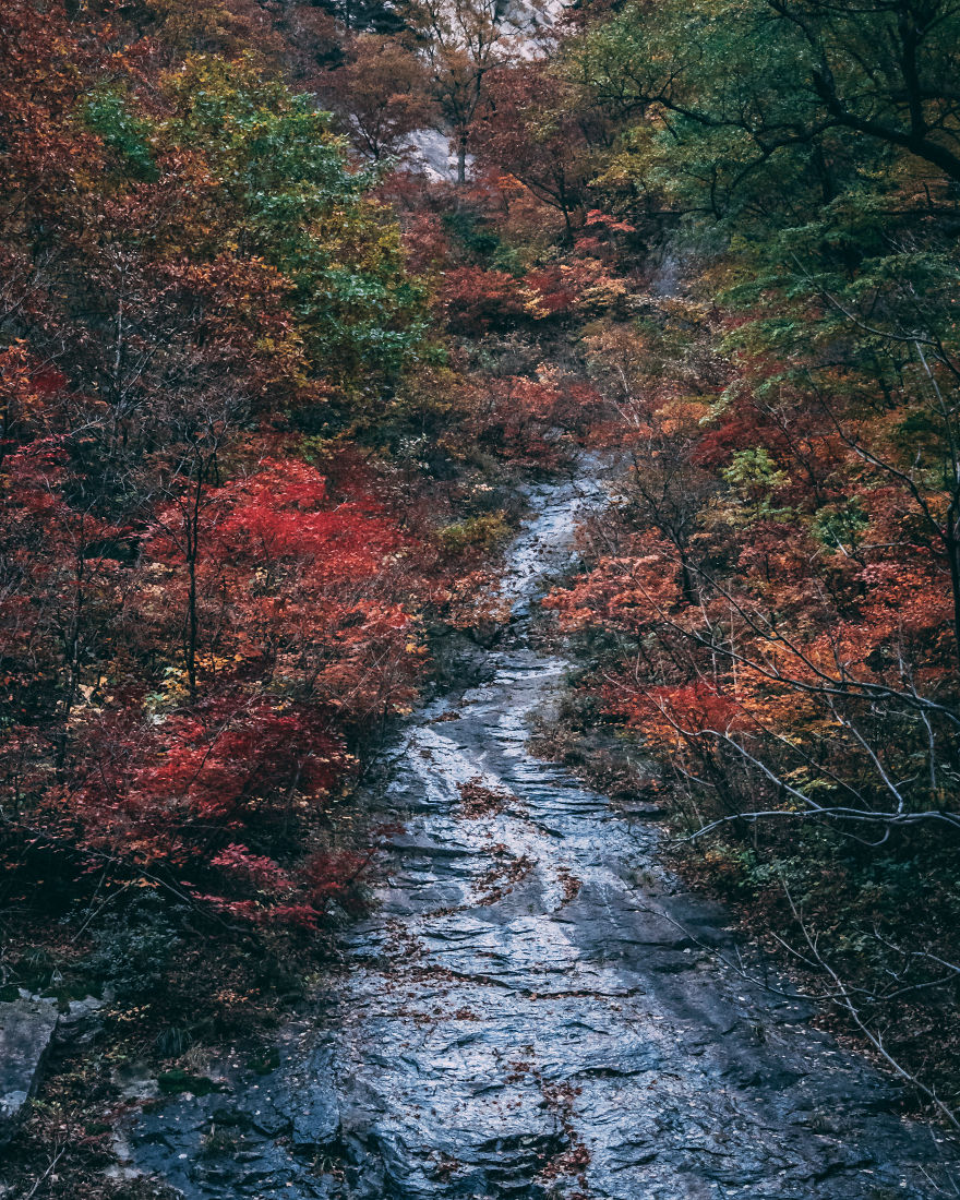 I Went On A Hike At Seoraksan National Park In South Korea And The Fall Foliage Was Incredible