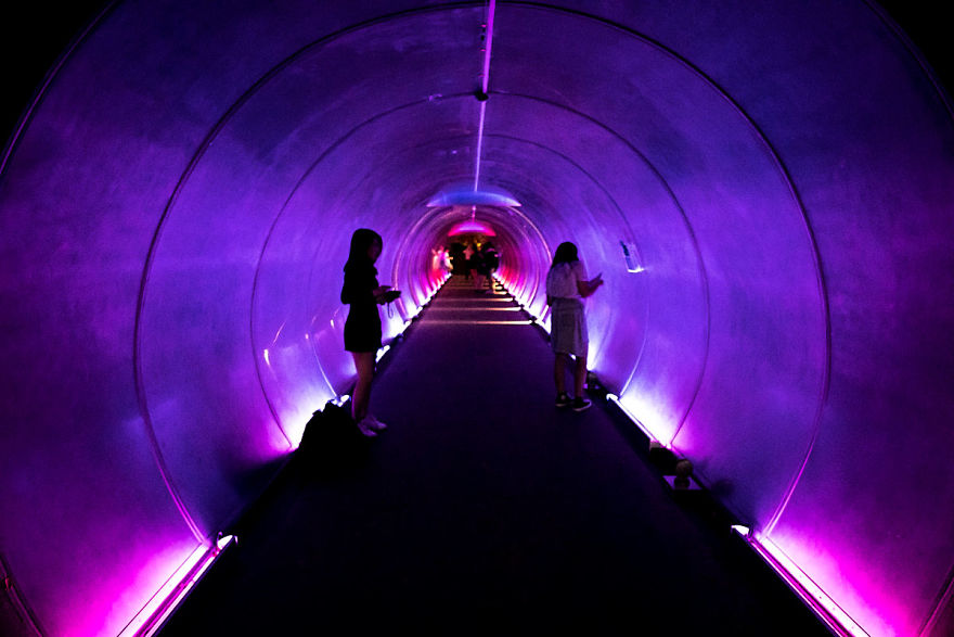 Singapore Photo Essay