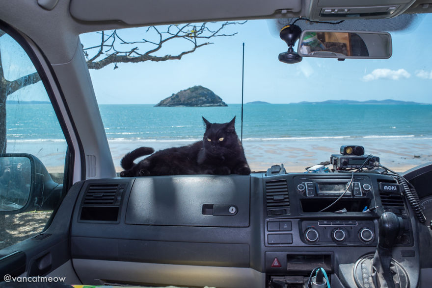 I Spent Over 3 Years Traveling With My Cat In A Campervan