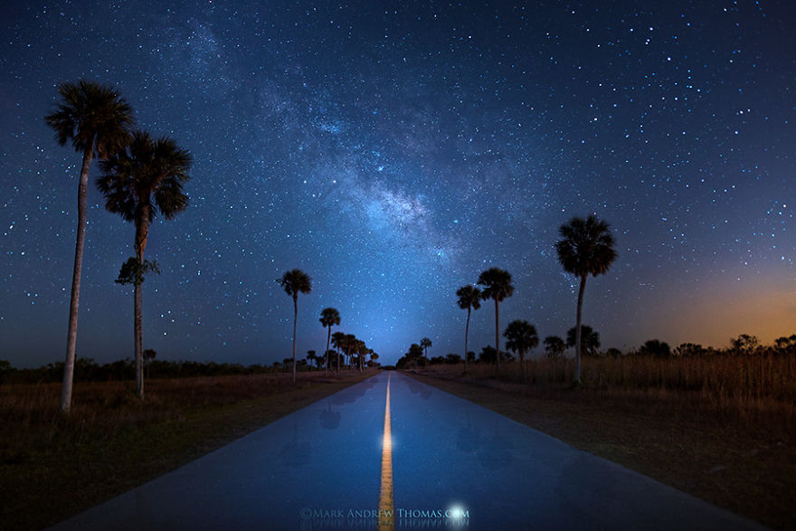 A Night In The Everglades
