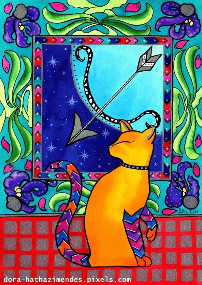 Sagittarius Cat Zodiac