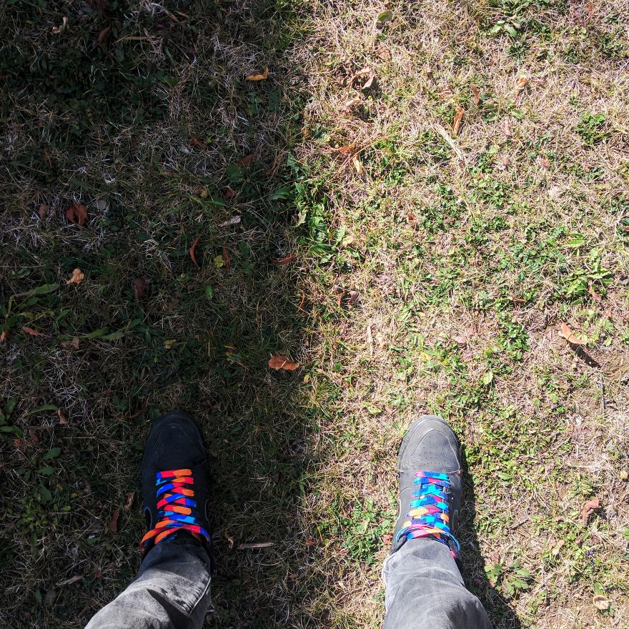 Photo Project - Half Split World
