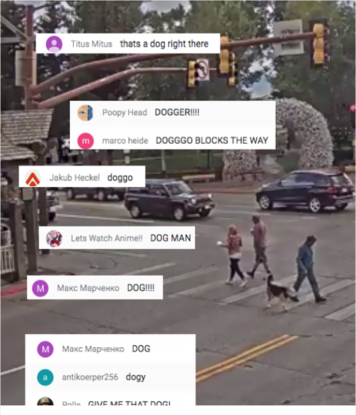 People Come Together To Watch A Stream Of A Small Towns Intersection, And It's More Entertaining Than You'd Think