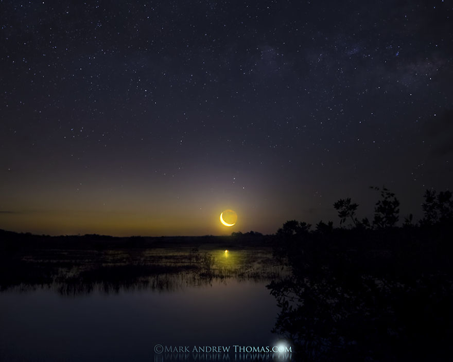 A Night In The Everglades