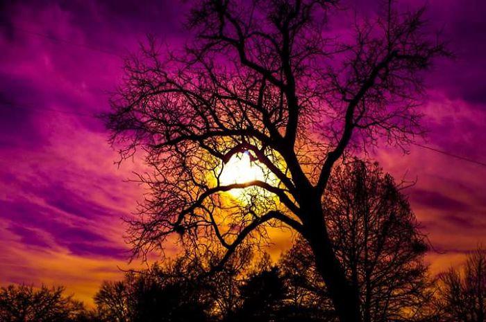 My Photography Dream My Photography Dream