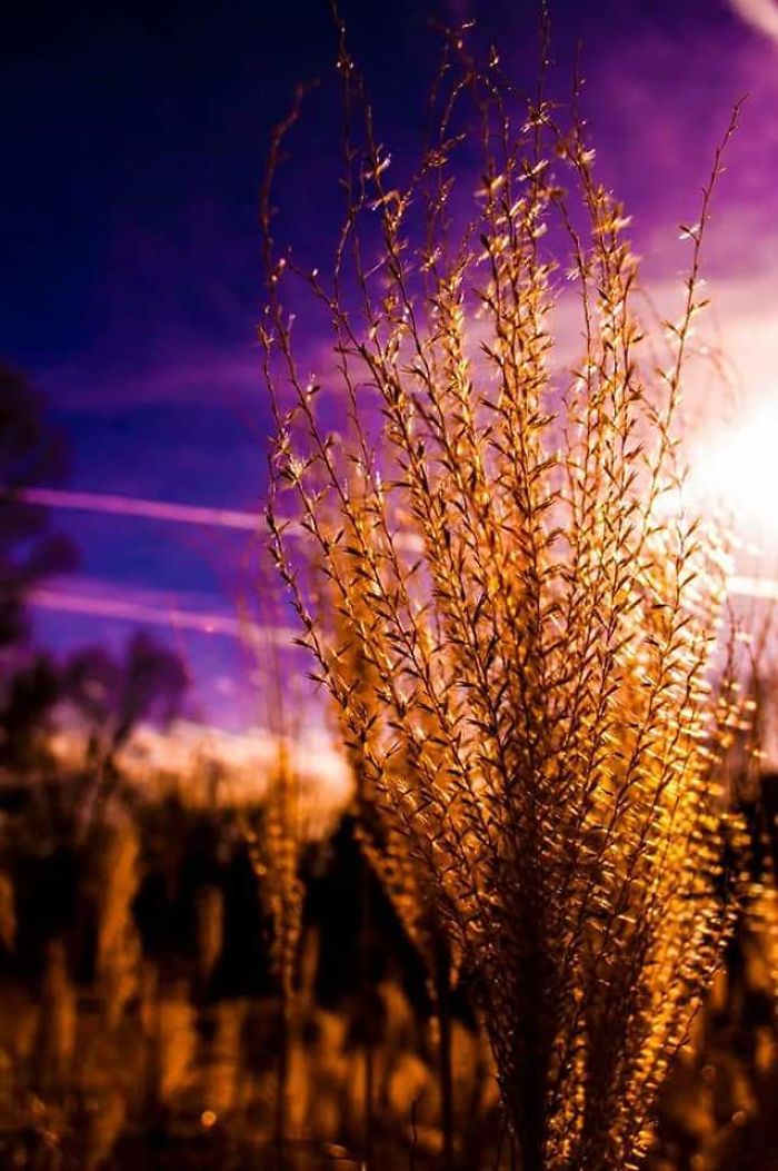 My Photography Dream My Photography Dream