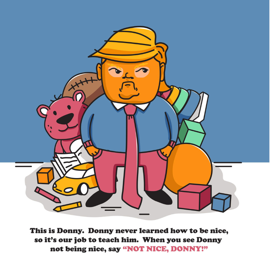 "Not Nice, Donny!" Is A Children's Book I Wrote And Illustrated, Due To The Child Like Behavior Of Our President.