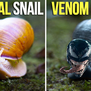 6 Mind Controlling Parasites That Are Worse Than Venom [video]