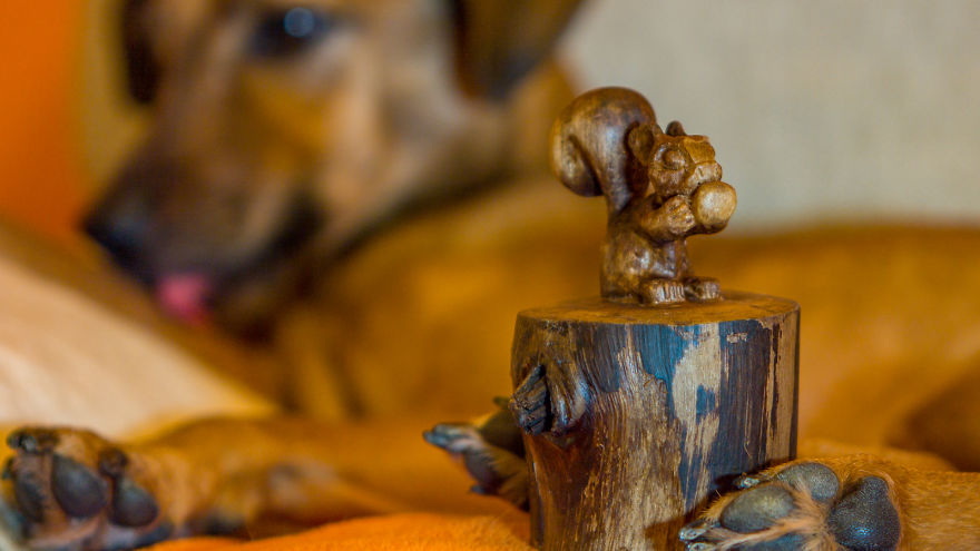 Wood Squirrel Carving From Walnuts Root