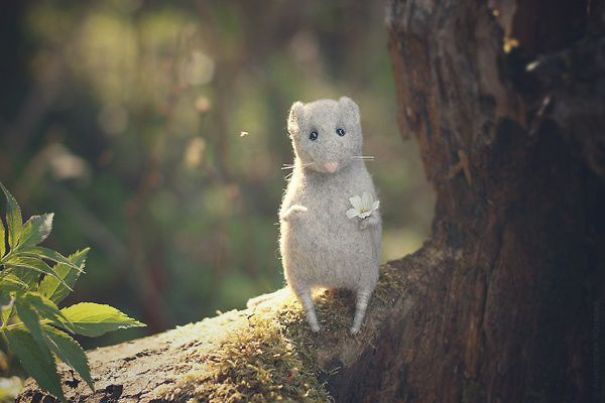You Will Forgive Them Again And Again: Extremely Cute Mice With A Heartwarming Look