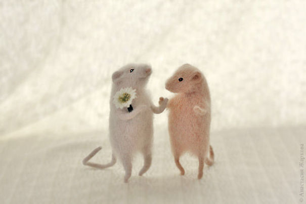 You Will Forgive Them Again And Again: Extremely Cute Mice With A Heartwarming Look