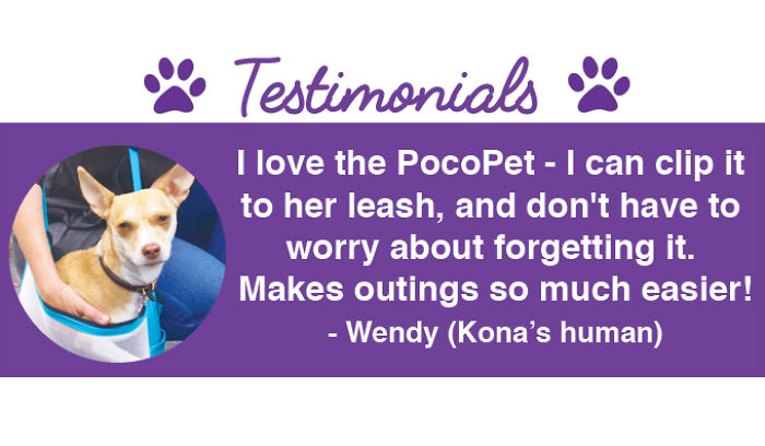 I Invented The Pocopet - The Pet Carrier That Fits In Your Pocket
