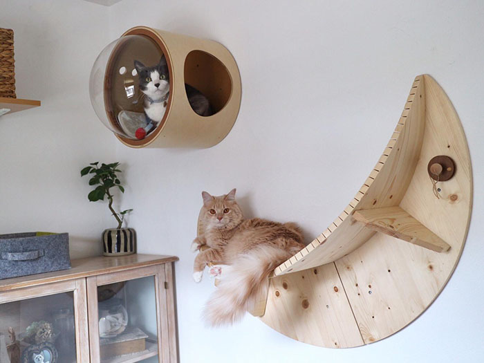 This Company Creates Spaceship-Inspired Cat Beds And It Costs $97
