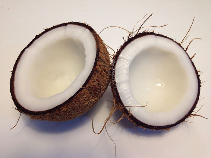 Tumblr Users Discuss Why A Coconut Is Not Considered A Mammal, And It Escalates Quickly