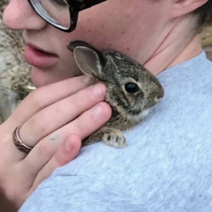 We Found A Bunny… With Our Chickens!