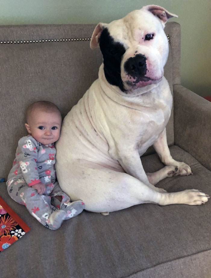 My Moms Rescue Dog Rico Is Best Friends With My Baby. I Interrupted Them Watching Peppa Pig