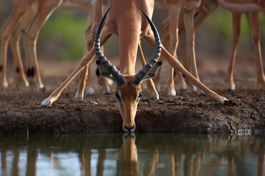 Taking A Sip Taking A Sip