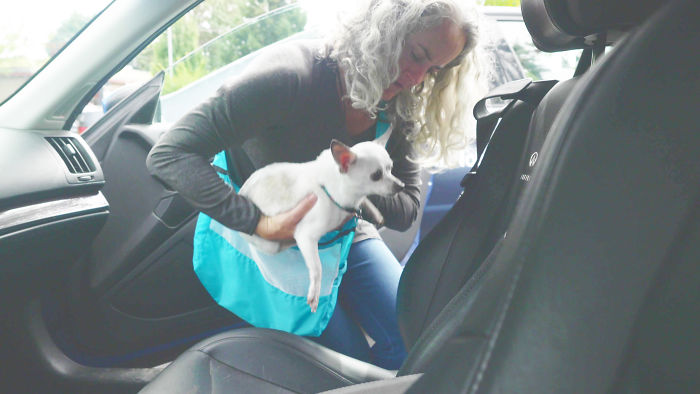 I Invented The Pocopet - The Pet Carrier That Fits In Your Pocket