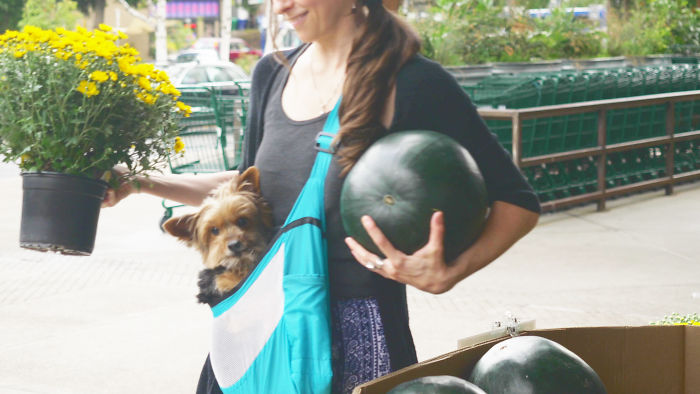 I Invented The Pocopet - The Pet Carrier That Fits In Your Pocket