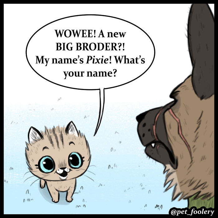 These Hilariously Adorable Comics About Brutus And Pixie Will Instantly Make Your Day