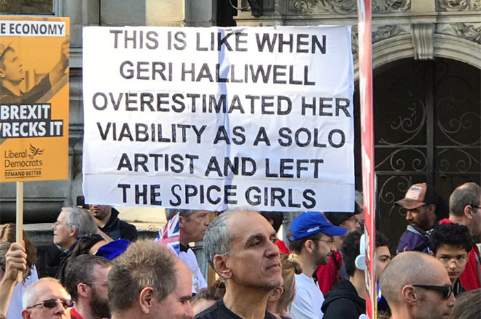 45 Of The Funniest Signs From The Anti-Brexit March