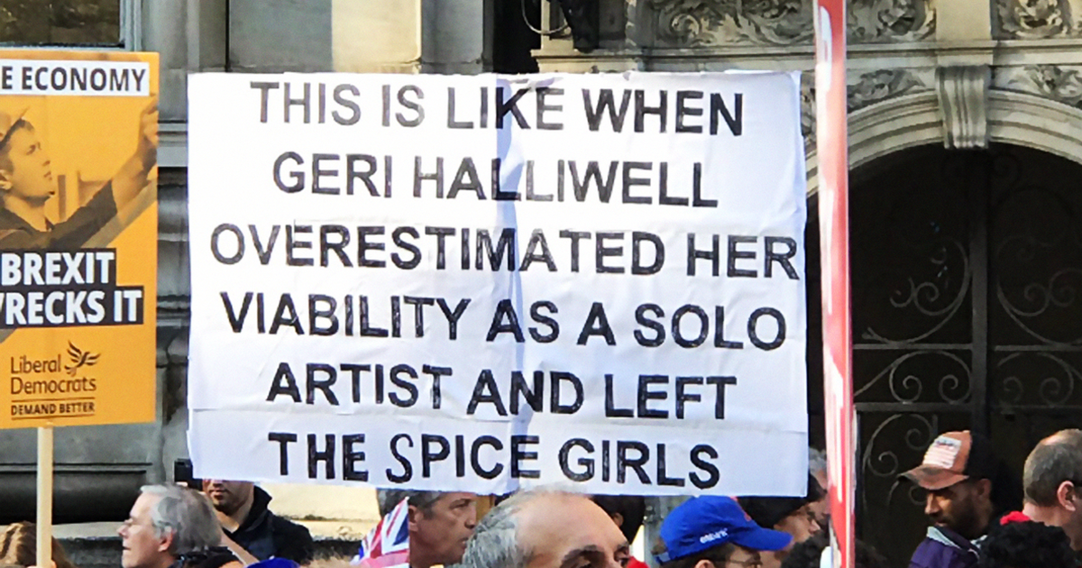 45 Of The Funniest Signs From The Anti-Brexit March | Bored Panda
