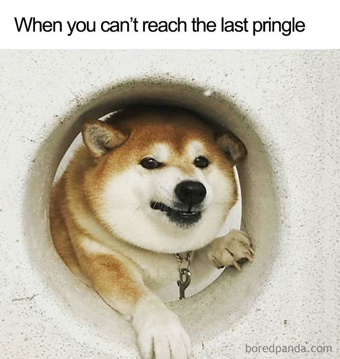 That Last Pringle