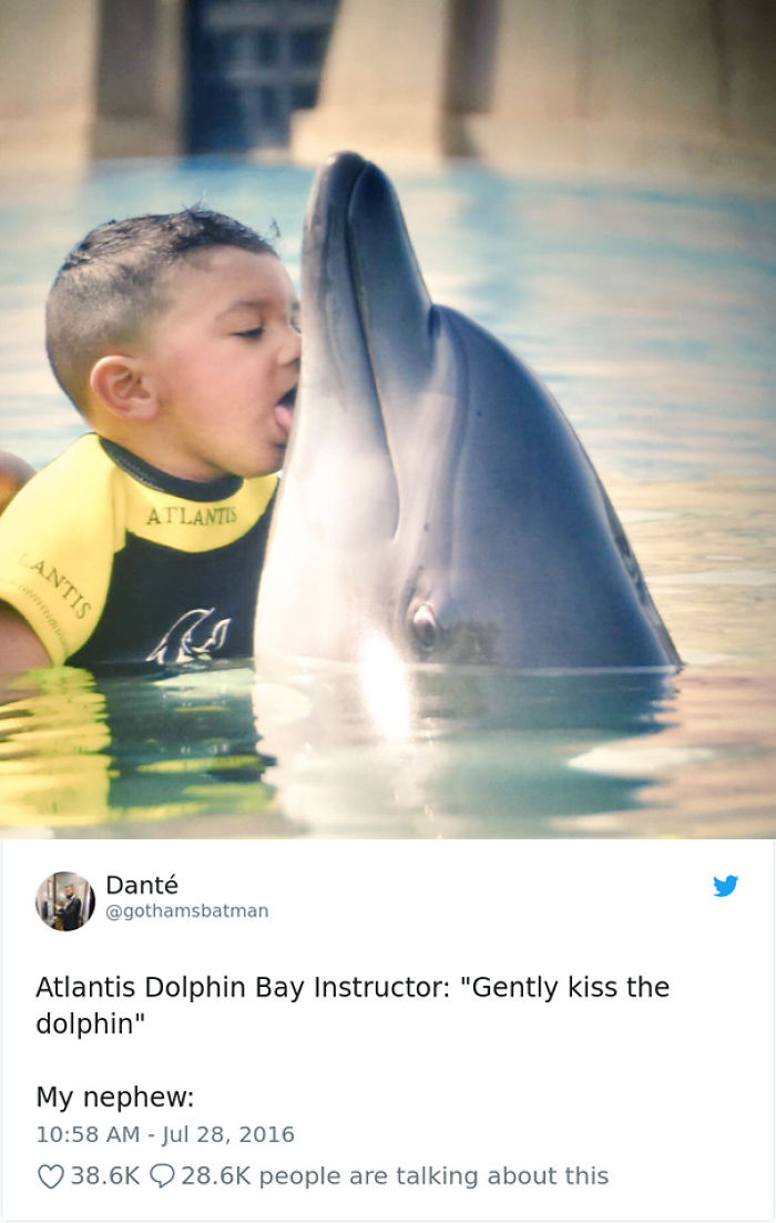 El instructor dijo: "Dale un besito suave al delfín"