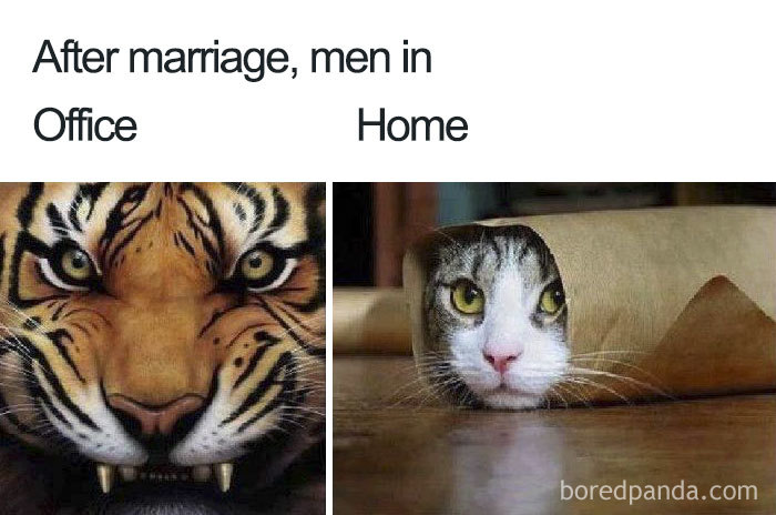 Пару интересных картинок про брак и замужество  :-) 