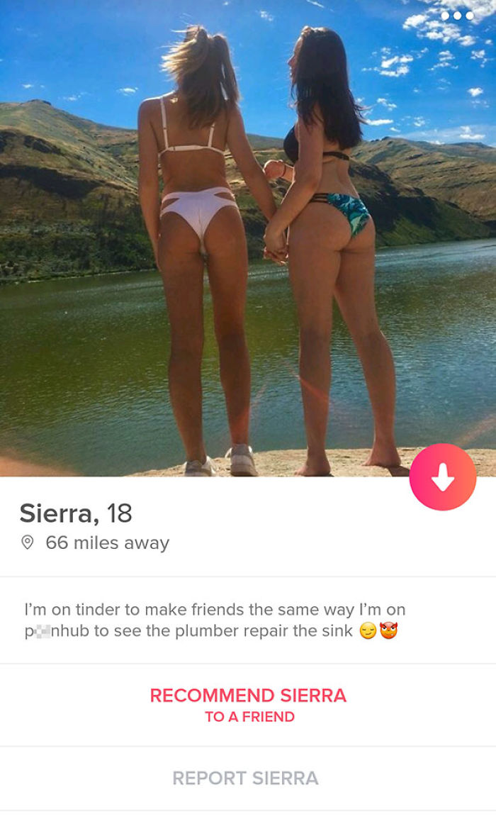 Some Bios Just Make You Smile