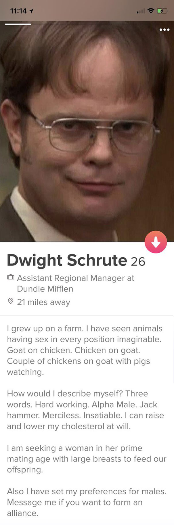 56 Funny Tinder Profiles That Will Make You Look Twice | Bored Panda