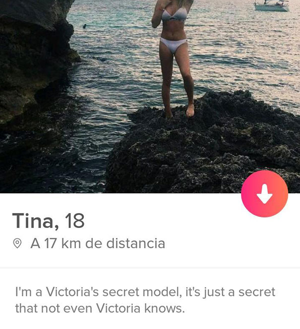 Funny online dating profile examples in Vitória