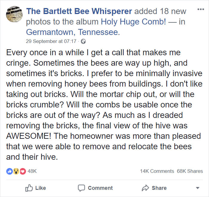 huge-beehive-the-barlett-bee-whisperer-30