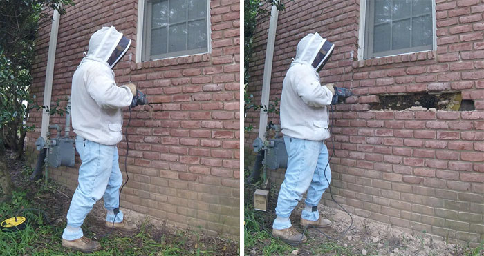 Bee Remover Posts What He Found After Removing The Bricks From A Client’s Home, And His Photos Go Viral