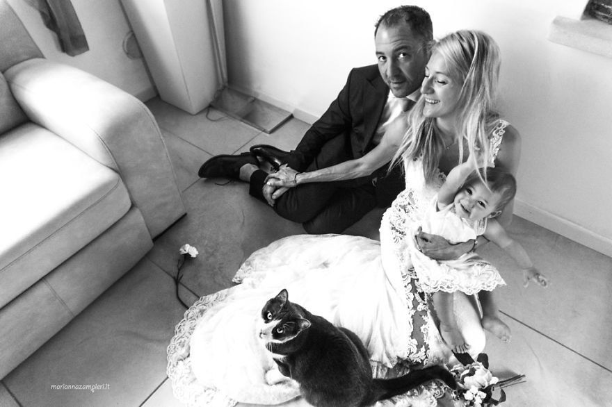 I Am A Photographer Who Does Post-Wedding Shootings With Cats (Part 2)
