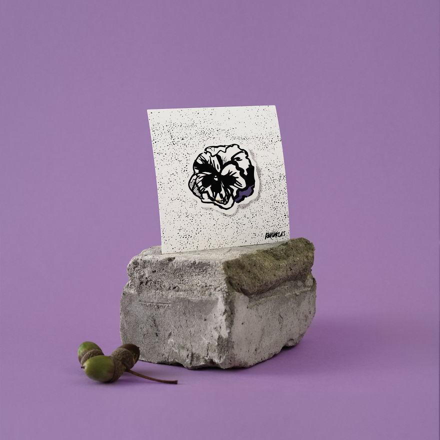 Pttrns "Peace That Condenses In The Noise"