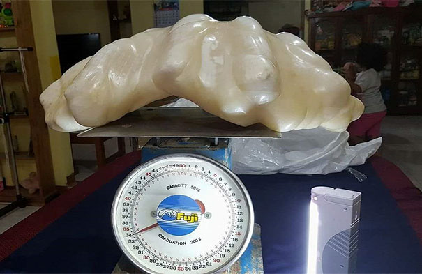 Fisherman Found A Giant Pearl, Weighing 34kg, But Wasn't Aware The $100 Million Pearl Was So Valuable And Kept It As A Luck Charm