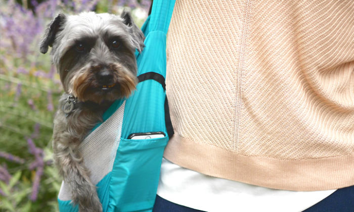 I Invented The Pocopet - The Pet Carrier That Fits In Your Pocket