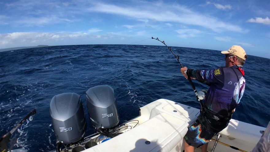 Multiple Marlin Fishing: How Do You Catch More Than One Billfish At The Same Time? Multiple Marlin Fishing: How Do You Catch More Than One Billfish At The Same Time?