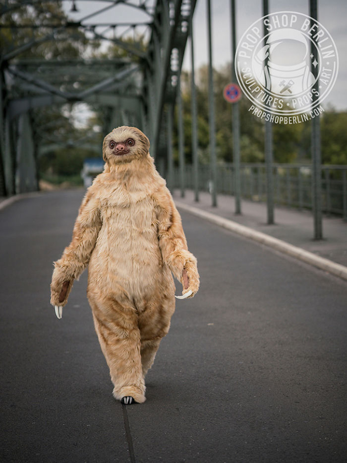 I Made A Realistic Two-Toed Sloth Costume
