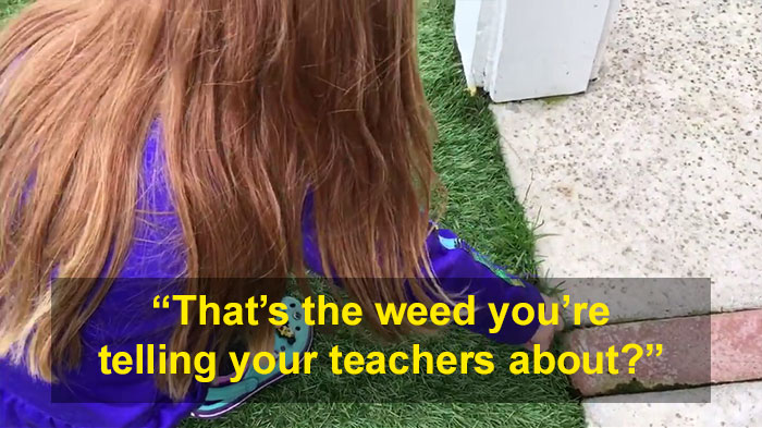 schoolgirl-tells-teacher-father-growing-weed-28