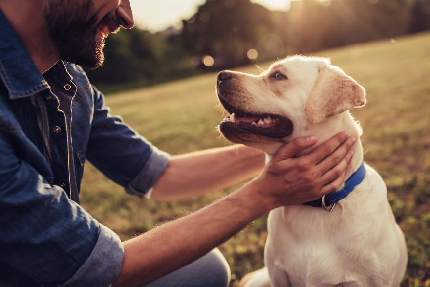 This Chart Will Tell You Exactly How Old Your Dog Is In Human Years This Chart Will Tell You Exactly How Old Your Dog Is In Human Years