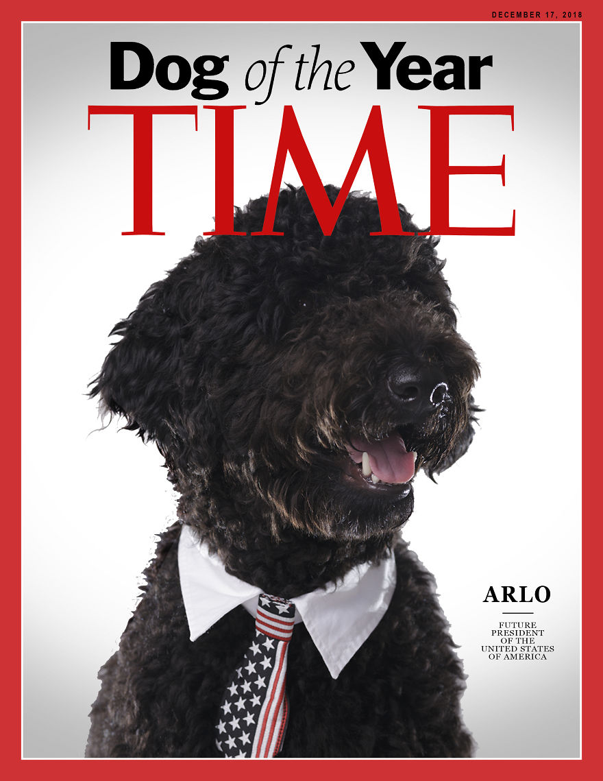 This Very Good Boi Wants You To Vote