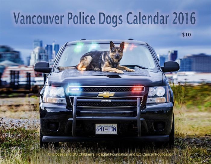 Vancouver Police Canine Unit Just Released Their 2019 Charity Calendar And It's Badass