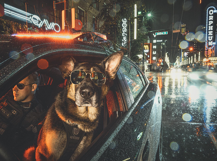 Vancouver Police Canine Unit Just Released Their 2019 Charity Calendar And It’s Badass