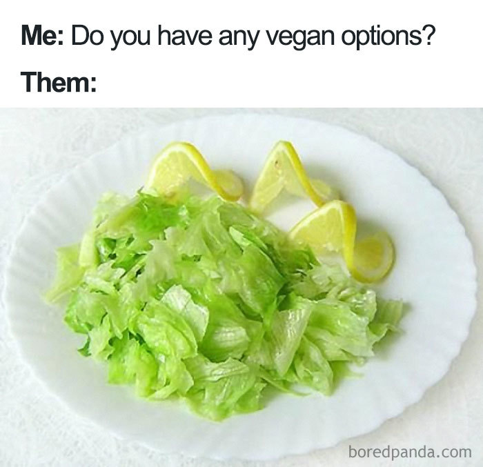 Vegan Meal Options