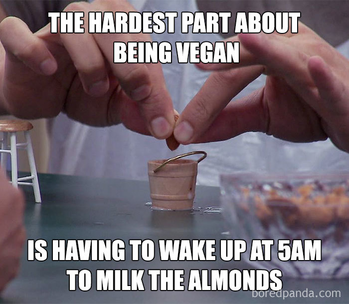 Just Milking The Almonds