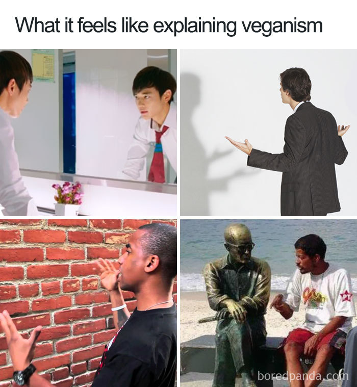 Explaining Veganism