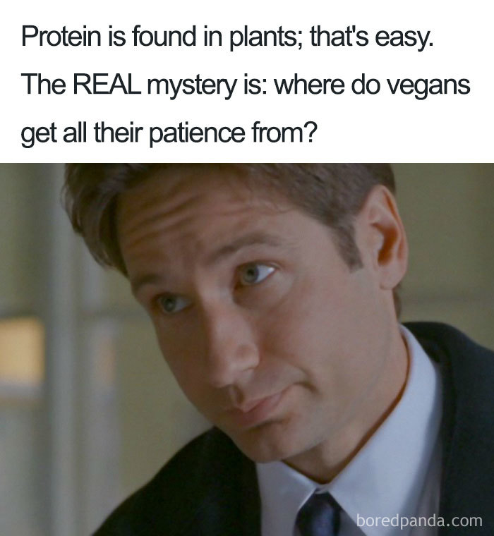 The Real Vegan Mystery